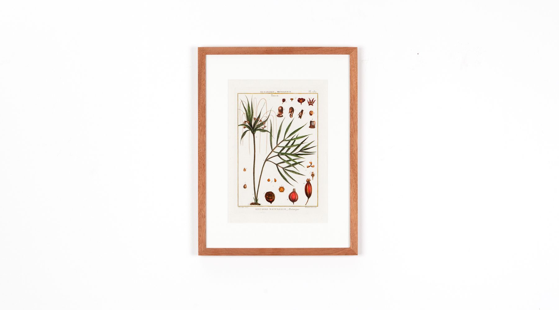 copper engraving (a)