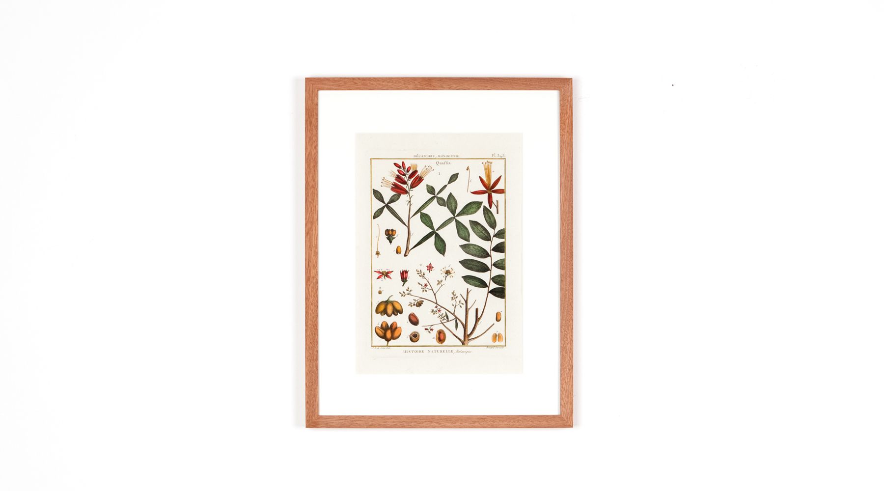 copper engraving (b)