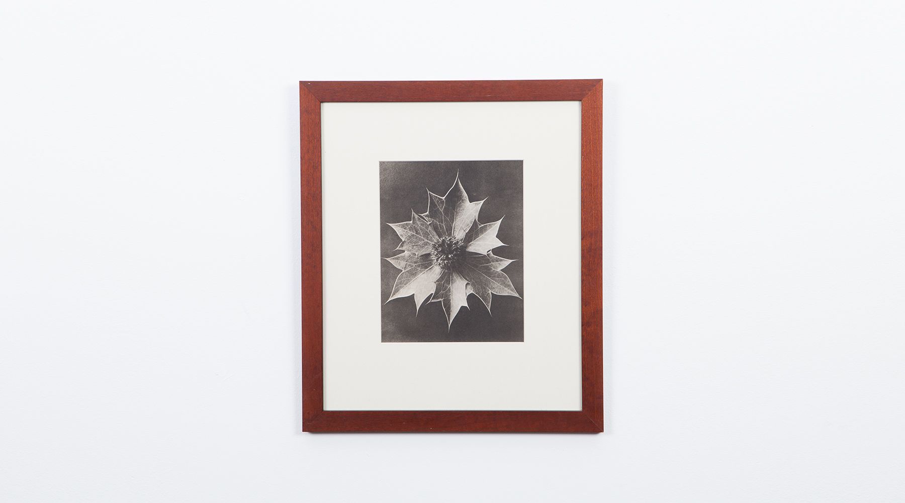 Photogravure (b)