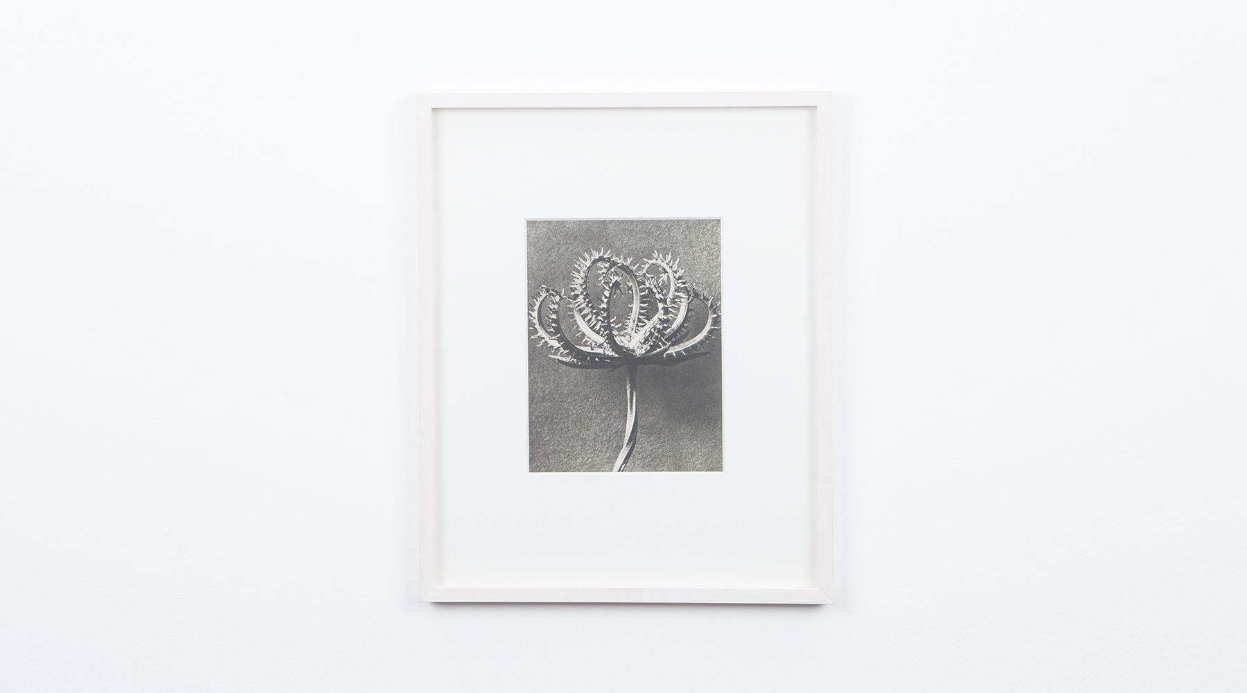 Photogravure (f)
