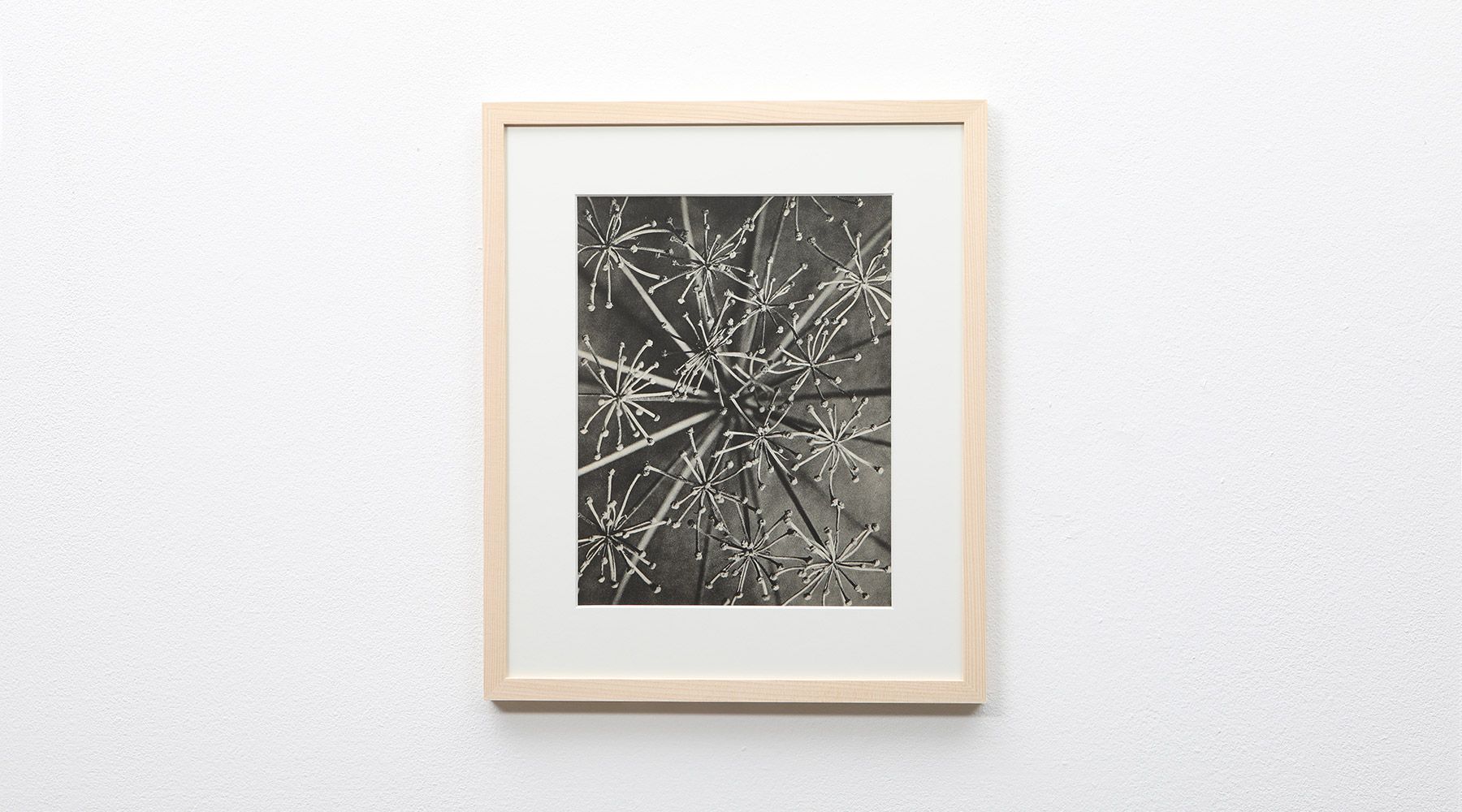 Photogravure 9