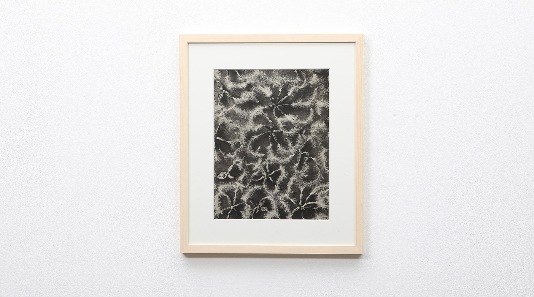 Photogravure 11